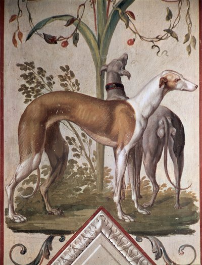 Two Greyhounds by Pietro Rotati